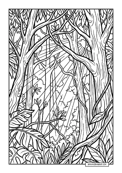 Rainforest Trees and Canopy - Jungle Sunlight Scene coloring page preview