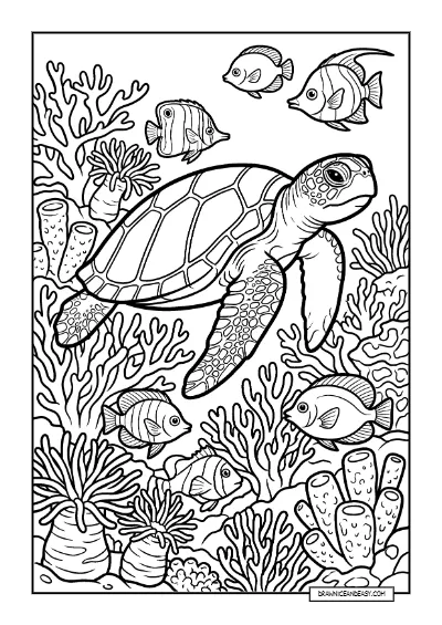 Sea Turtle Swimming in Coral Reef - Ocean Habitat Page coloring page preview