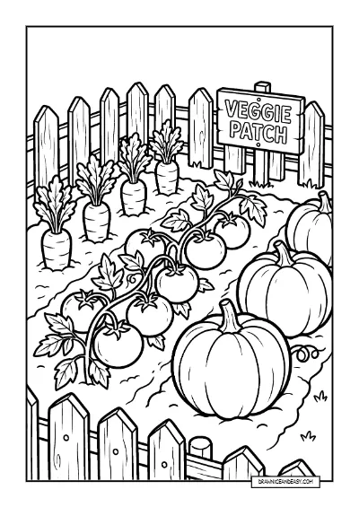Vegetable Garden - Carrots Tomatoes Pumpkins Coloring coloring page preview
